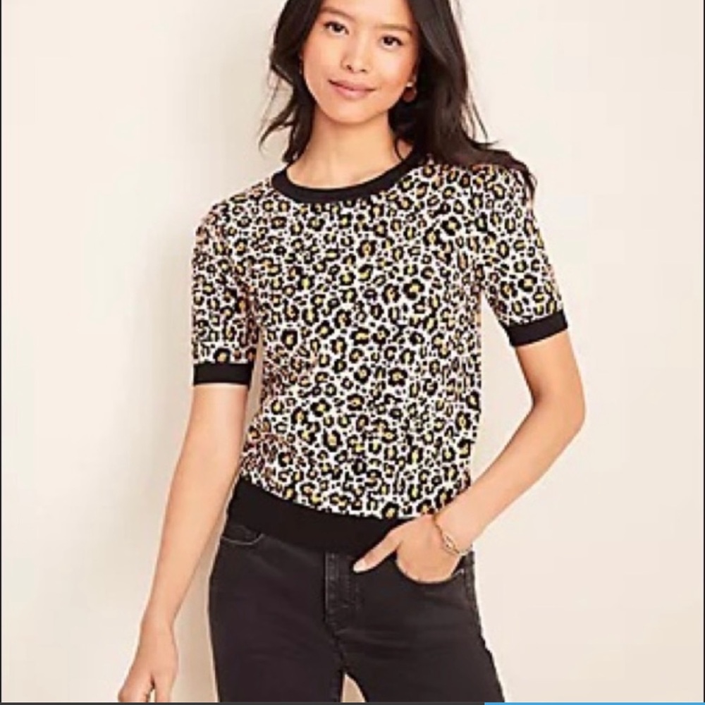 Ann Taylor Leopard Print Puff Sleeve Sweater Tee